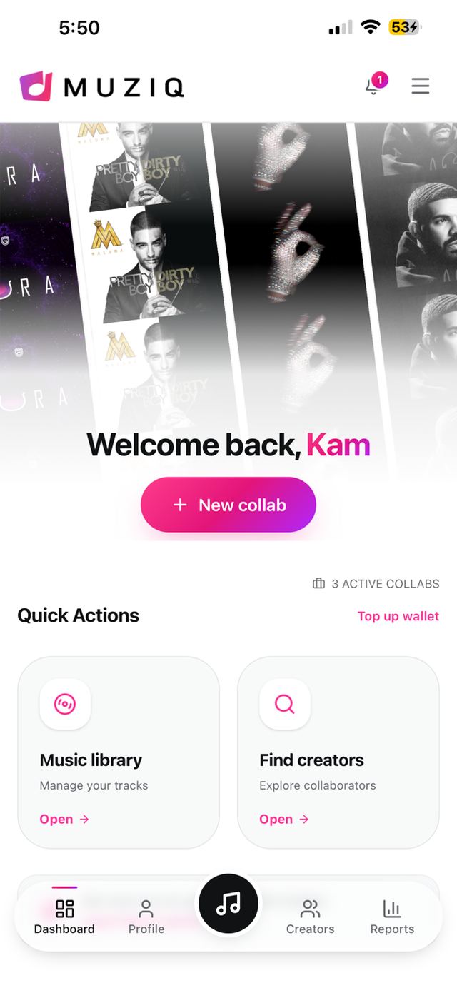 MuziQ platform screenshot